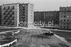Prace rekultywacyjne terenu pomiędzy blokami mieszkalnymi na osiedlu Centrum D (D-31), w tle widoczny dom mieszkalny na osiedlu Centrum C (C-31) przy alei Rewolucji Październikowej (obecnie aleja Generała Władysława Andersa), lata 60. XXw.


fot. Henryk Makarewicz/idealcity.pl

Dofinansowano z Regionalnego Programu Operacyjnego Województwa Małopolskiego na lata 2014-2020

Dofinansowano ze środków Ministra Kultury i Dziedzictwa Narodowego