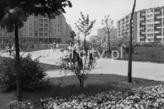 Po lewej blok francuski, po prawej blok szwedzki - sfotografowane od strony parku Szwedzkiego.

fot. Henryk Makarewicz/idealcity.pl


Dofinansowano z Regionalnego Programu Operacyjnego Województwa Małopolskiego na lata 2014-2020

Dofinansowano ze środków Ministra Kultury i Dziedzictwa Narodowego