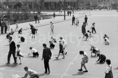 Konkurs rysunków na asfalcie podczas Dni Sportu i Młodości, aleja Przyjaźni Polsko-Radzieckiej (obecnie aleja Przyjaźni), w tle budynek mieszkalny na osiedlu Hutniczym (dawniej A-33), maj 1963.


fot. Henryk Makarewicz/idealcity.pl

Dofinansowano z Regionalnego Programu Operacyjnego Województwa Małopolskiego na lata 2014-2020

Dofinansowano ze środków Ministra Kultury i Dziedzictwa Narodowego