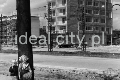 Widok od strony łąk nowohuckich w kierunku osiedla D-31 (Centrum), budowę sektora D: Centrum D, osiedla D-3 (Handlowe), realizowano je w latach 1957-1969, po prawej stronie widoczny dziesięciopiętrowy punktowiec tzw. helikopter zbudowany w okresie poodwilżowym (wybudowany po 1957 roku) wg. proj. architektów Kazimierza Chodorowskiego i Stefana Golonki, z jeszcze nie zbudowanym  pawilonem handlowo-usługowy „Ciastkarnią Bambo”, koniec l.50.XX w.

fot. Henryk Makarewicz/idealcity.pl

Dofinansowano z Regionalnego Programu Operacyjnego Województwa Małopolskiego na lata 2014-2020

Dofinansowano ze środków Ministra Kultury i Dziedzictwa Narodowego