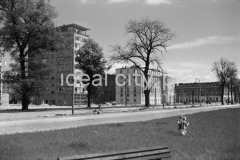 Widok od strony łąk nowohuckich w kierunku osiedla D-31 (Centrum D) – realizacja do 1957 roku i Placu Centralnego, budowę sektora D i kolejnych osiedli realizowano w latach 1957-1969, po lewej stronie widoczny dziesięciopiętrowy punktowiec tzw. helikopter zbudowany w okresie poodwilżowym (wybudowany po 1957 roku) wg. proj. architektów Kazimierza Chodorowskiego i Stefana Golonki, z jeszcze nie zbudowanym  pawilonem handlowo-usługowy „Ciastkarnią Bambo”, w tle po prawej budynek mieszkalny na osiedlu A-31 (Centrum A), l.50.XX w.

fot. Henryk Makarewicz/idealcity.pl

Dofinansowano z Regionalnego Programu Operacyjnego Województwa Małopolskiego na lata 2014-2020

Dofinansowano ze środków Ministra Kultury i Dziedzictwa Narodowego